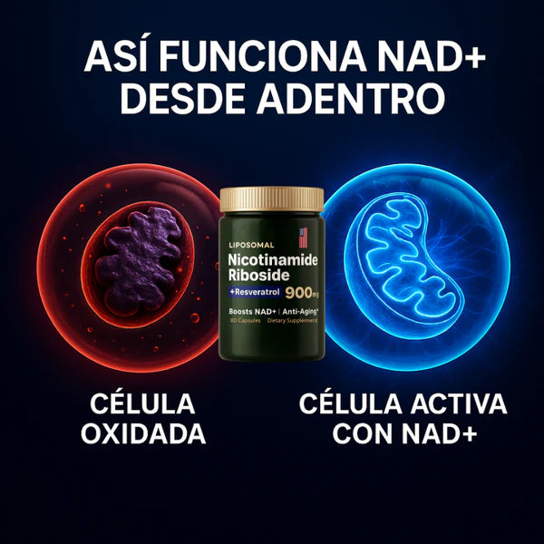 Liposomal | Complejo Natural de NAD+ Resveratrol en Cápsulas