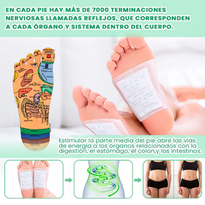 Parches Kinokis desintoxicantes para (1 Packs de 100)
